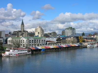 lobo en el ro valdivia